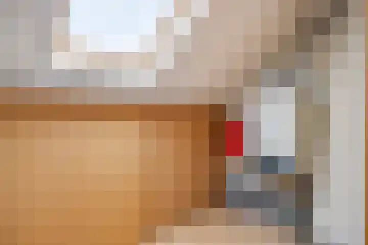Trompstraat 2 Dongen thumbnail 41