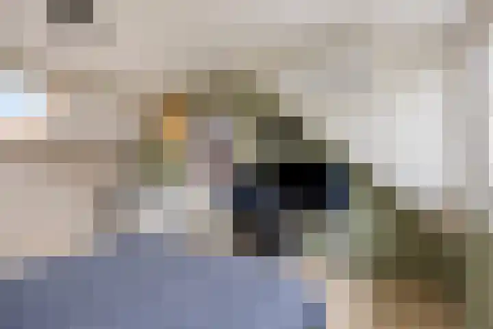 Trompstraat 2 Dongen thumbnail 45