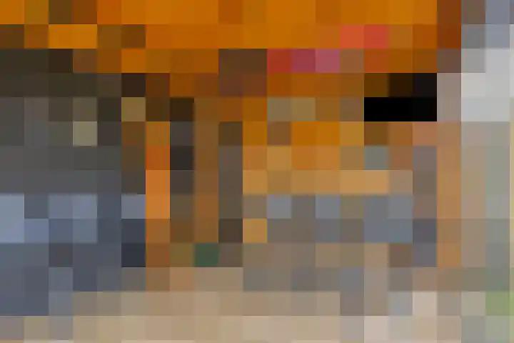 Trompstraat 2 Dongen thumbnail 48