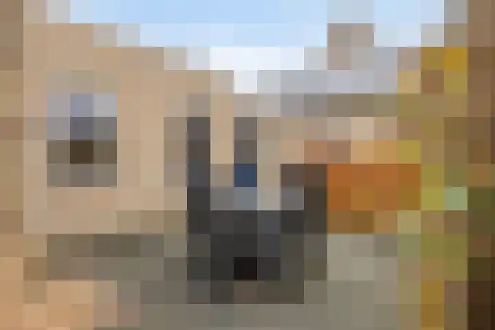 Trompstraat 2 Dongen thumbnail 50