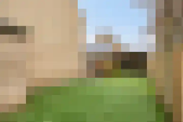 Trompstraat 2 Dongen thumbnail 52