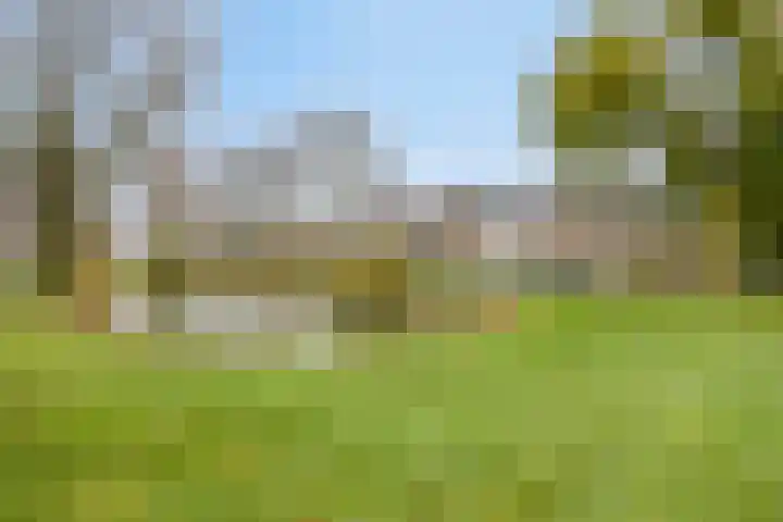 Trompstraat 2 Dongen thumbnail 57
