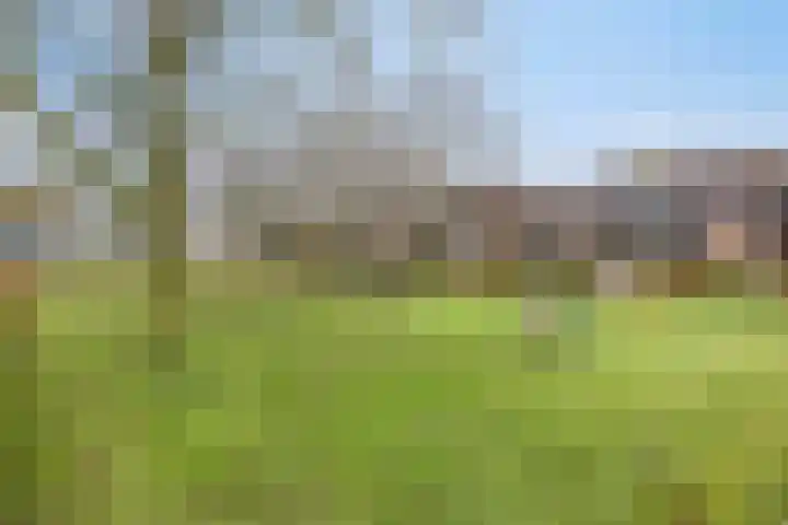 Trompstraat 2 Dongen thumbnail 58