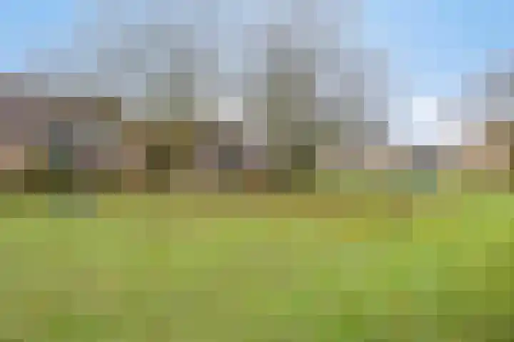 Trompstraat 2 Dongen thumbnail 59