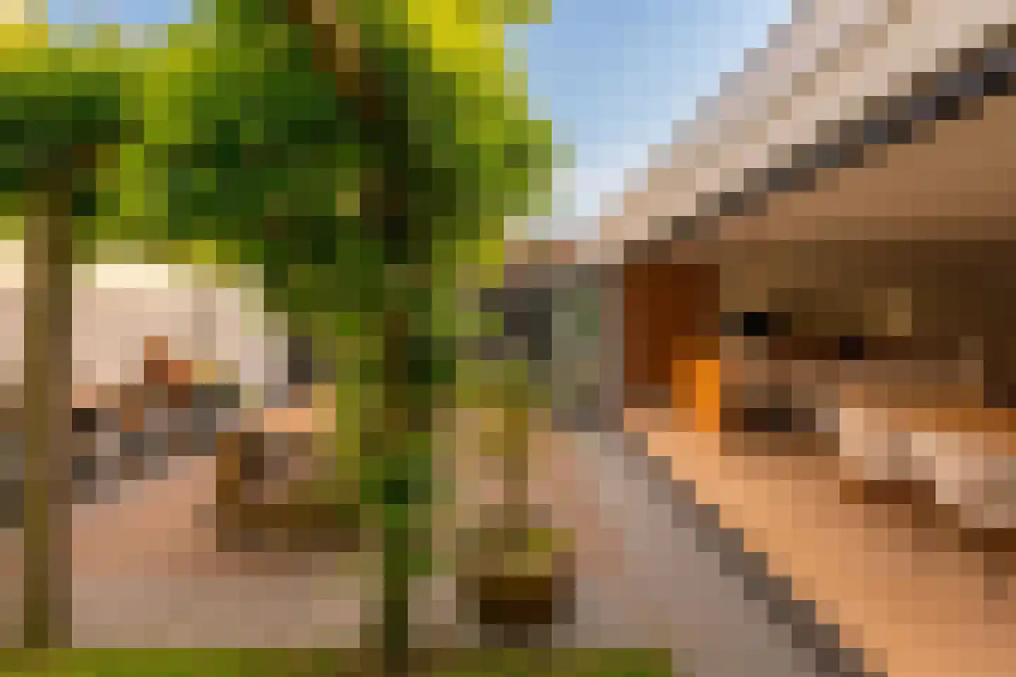 Trompstraat 2 Huizen thumbnail 11