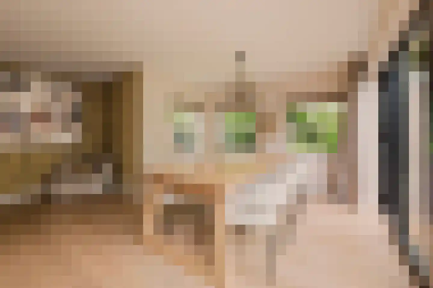 Trompstraat 2 Huizen thumbnail 12