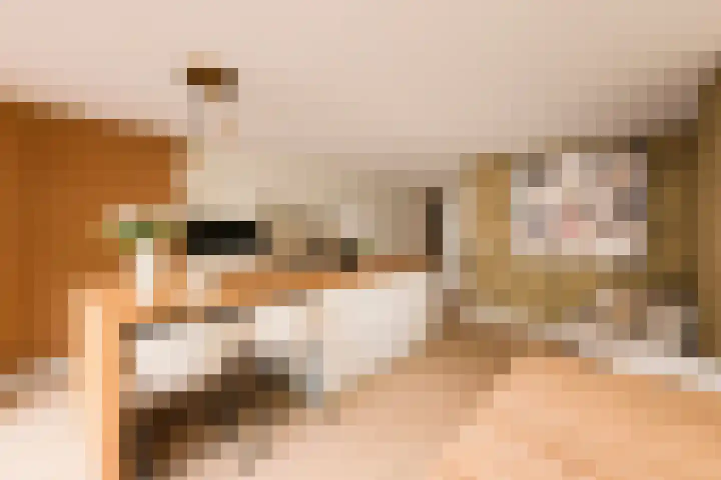 Trompstraat 2 Huizen thumbnail 13