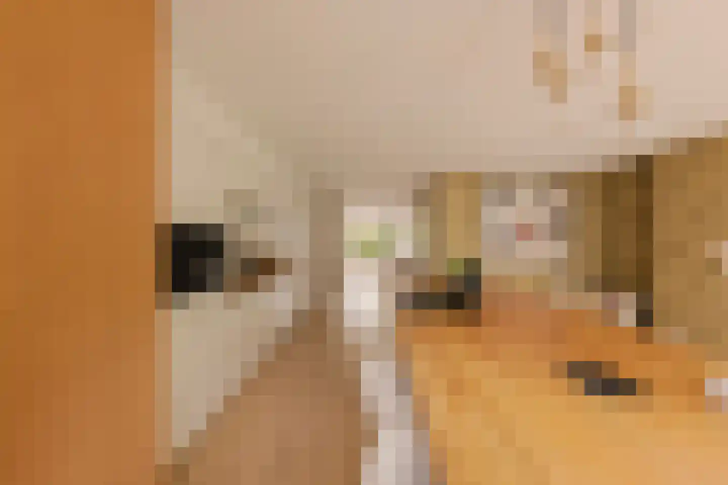 Trompstraat 2 Huizen thumbnail 15