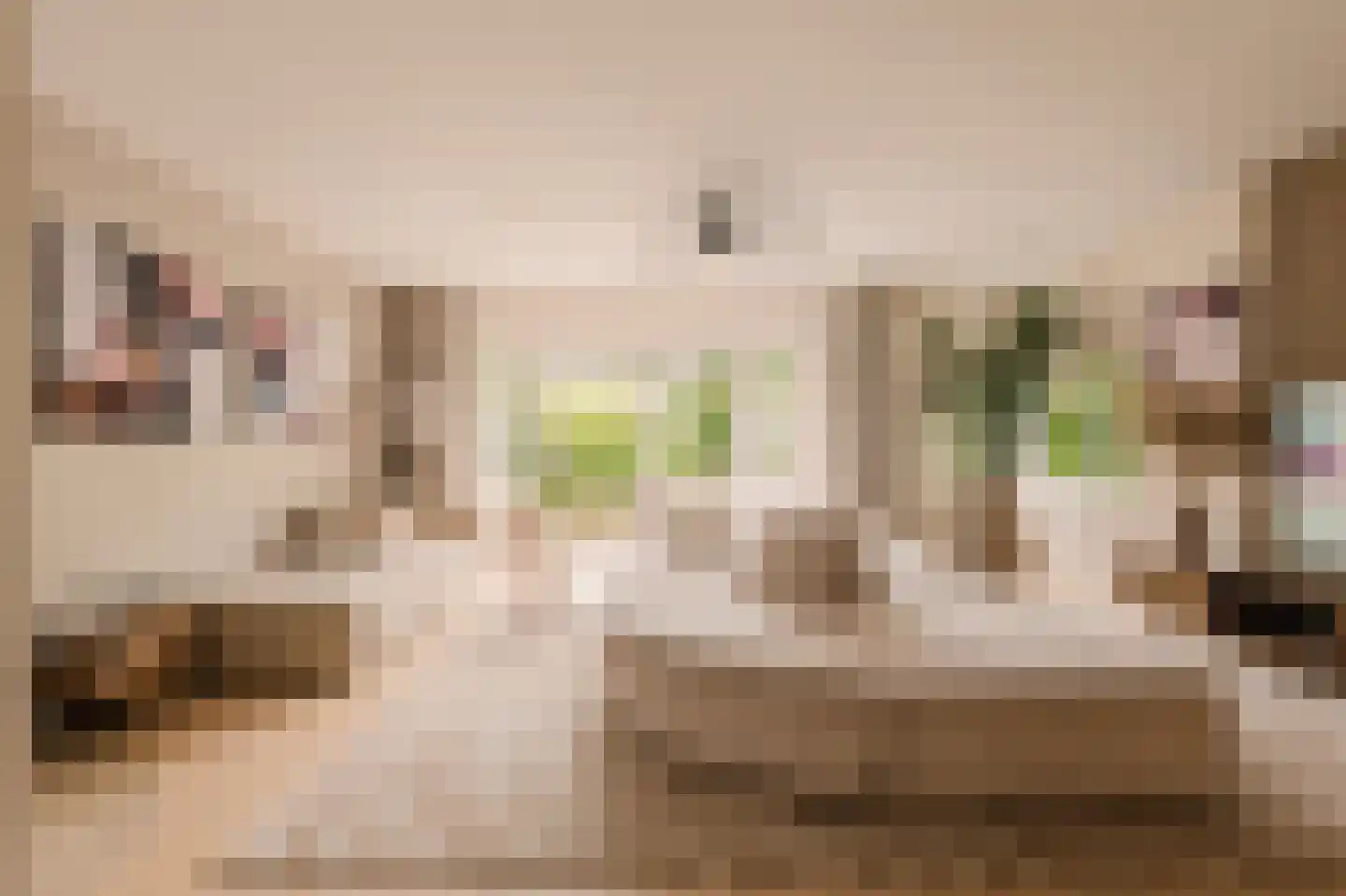 Trompstraat 2 Huizen thumbnail 16