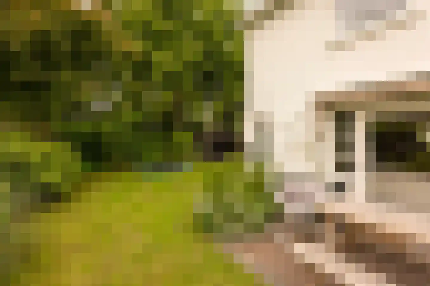 Trompstraat 2 Huizen thumbnail 17