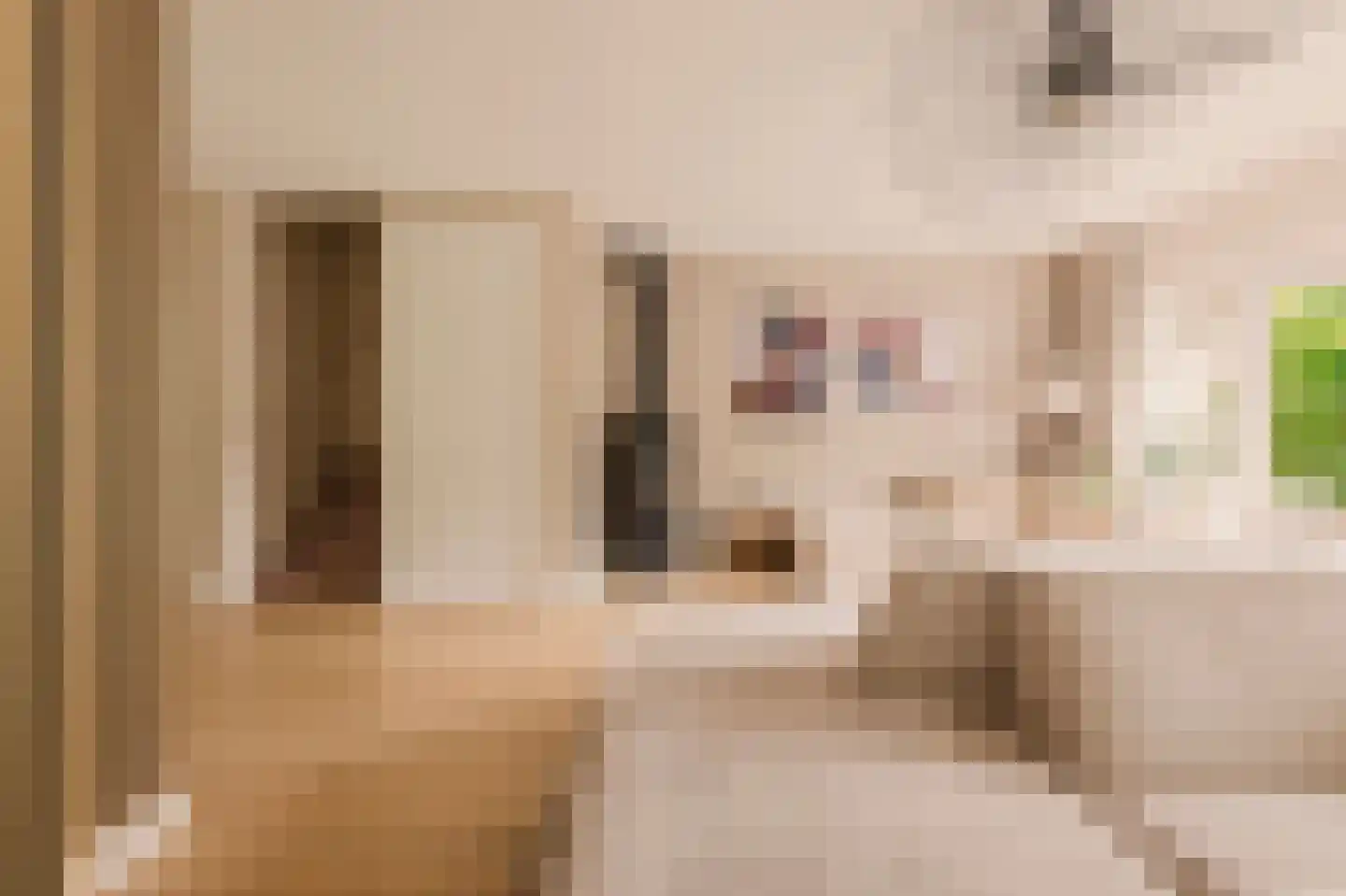 Trompstraat 2 Huizen thumbnail 18