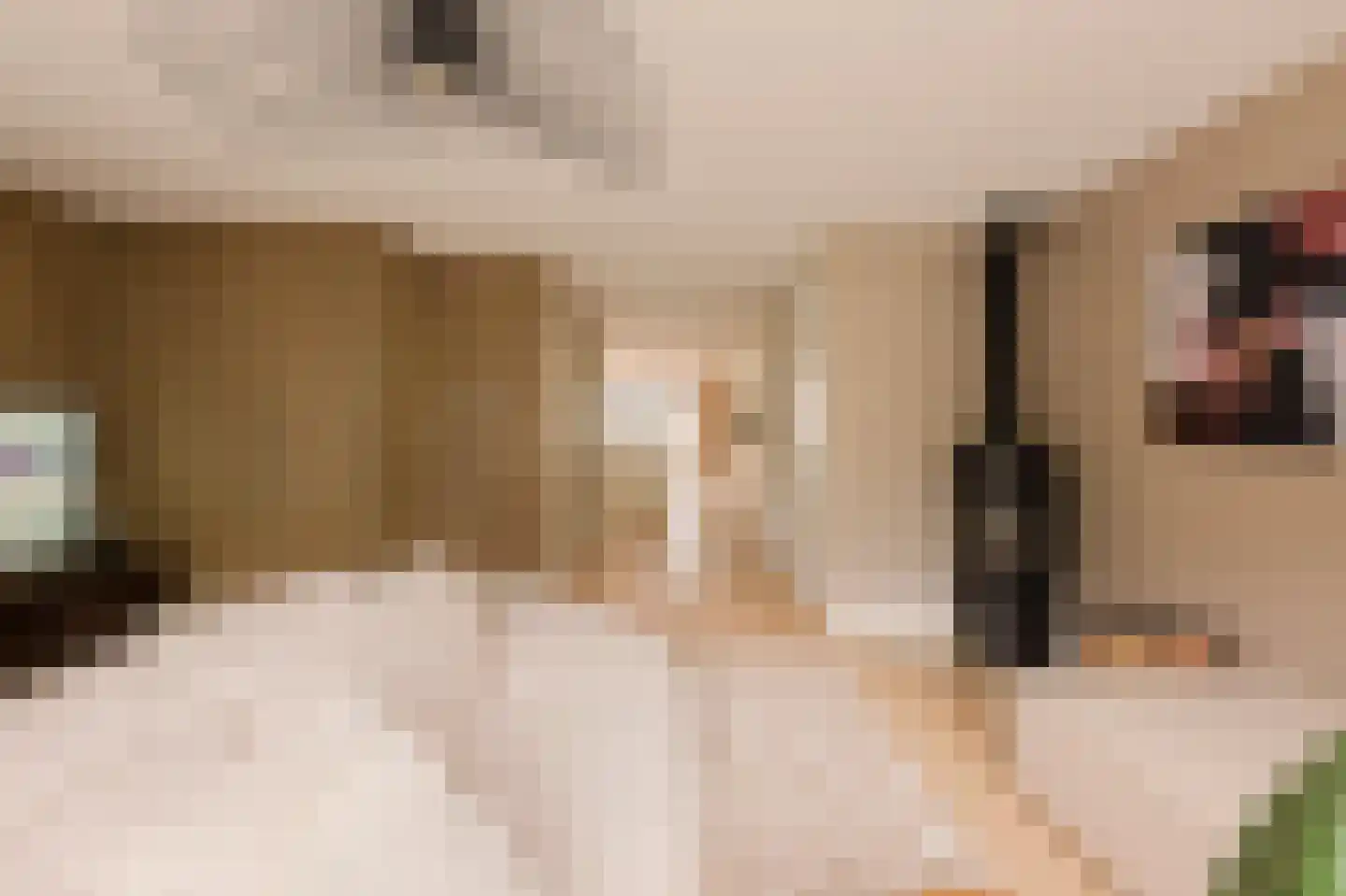 Trompstraat 2 Huizen thumbnail 19