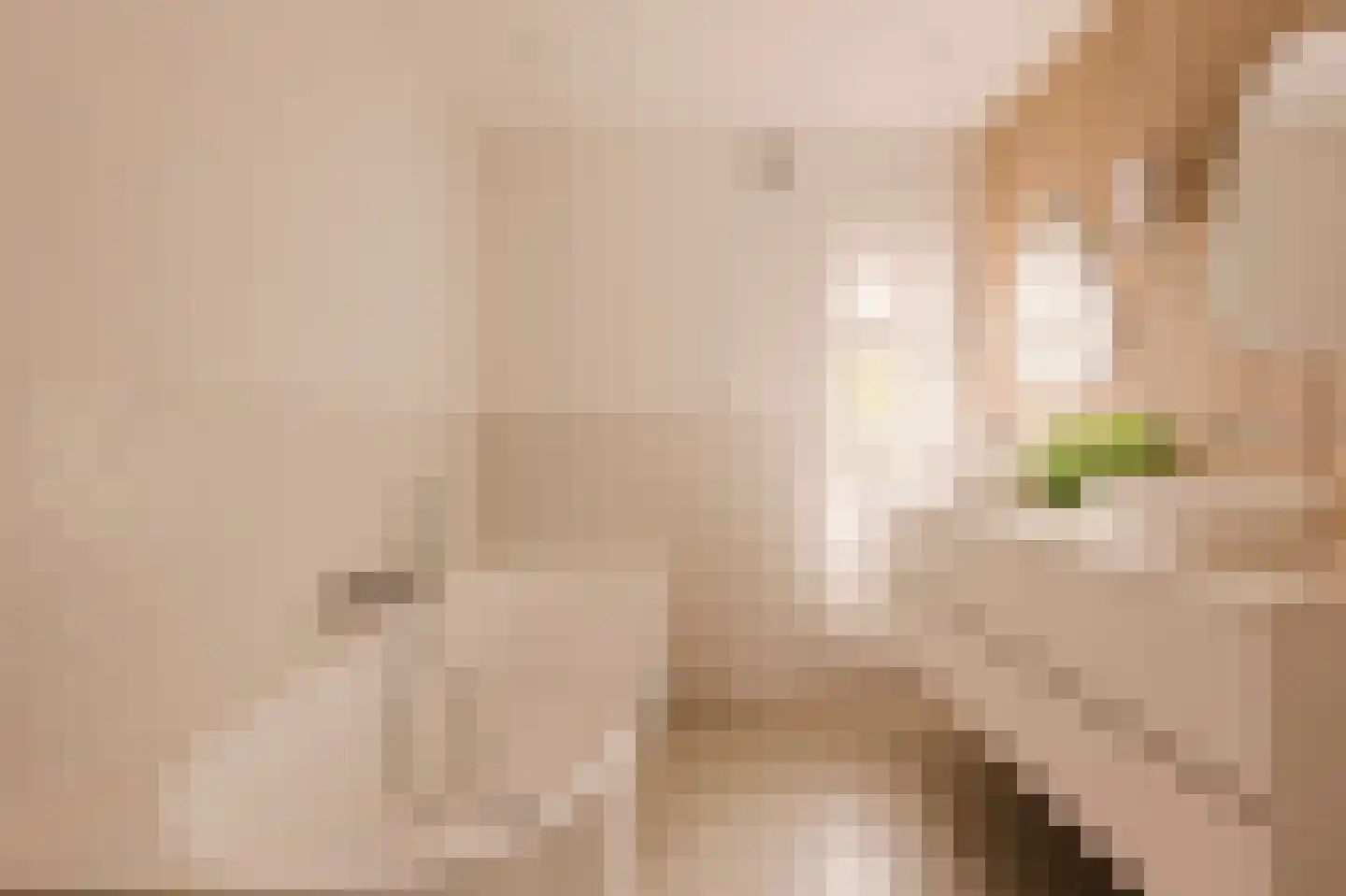 Trompstraat 2 Huizen thumbnail 24