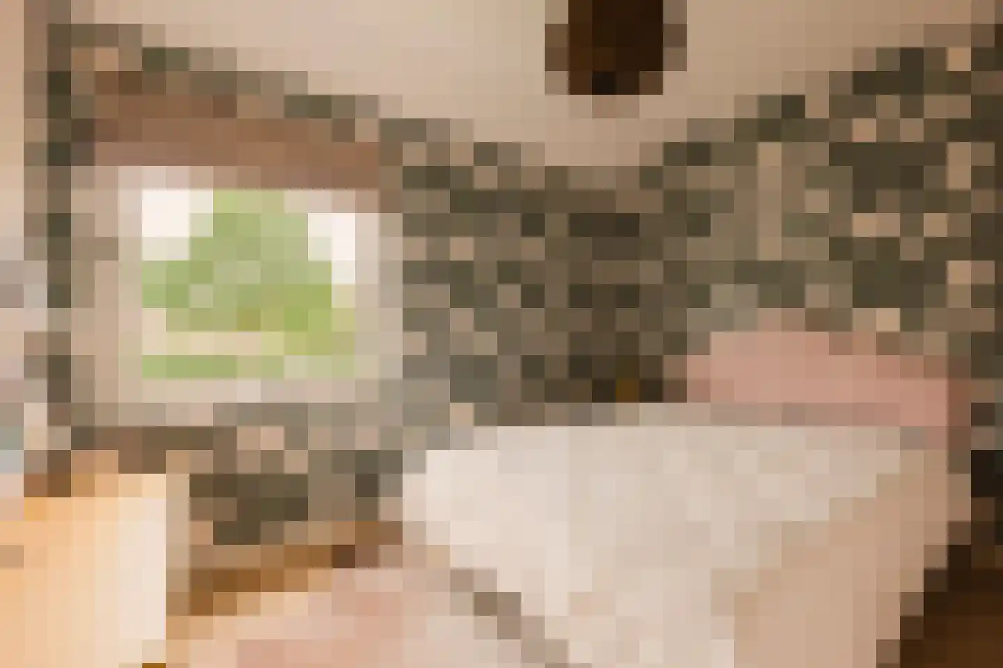 Trompstraat 2 Huizen thumbnail 26