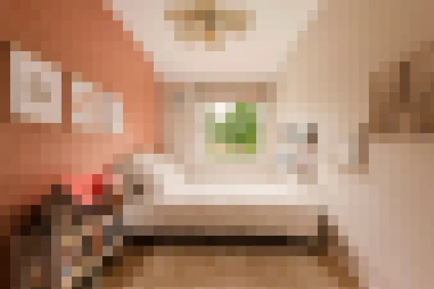 Trompstraat 2 Huizen thumbnail 27