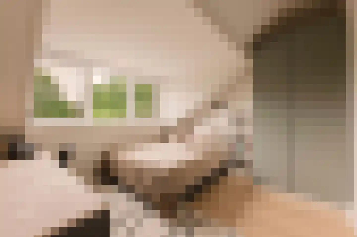 Trompstraat 2 Huizen thumbnail 29