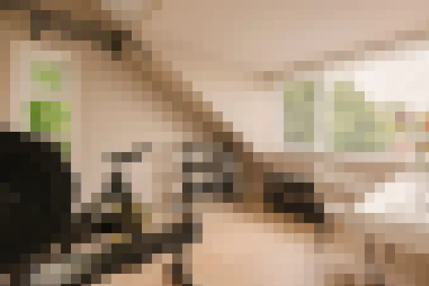 Trompstraat 2 Huizen thumbnail 32