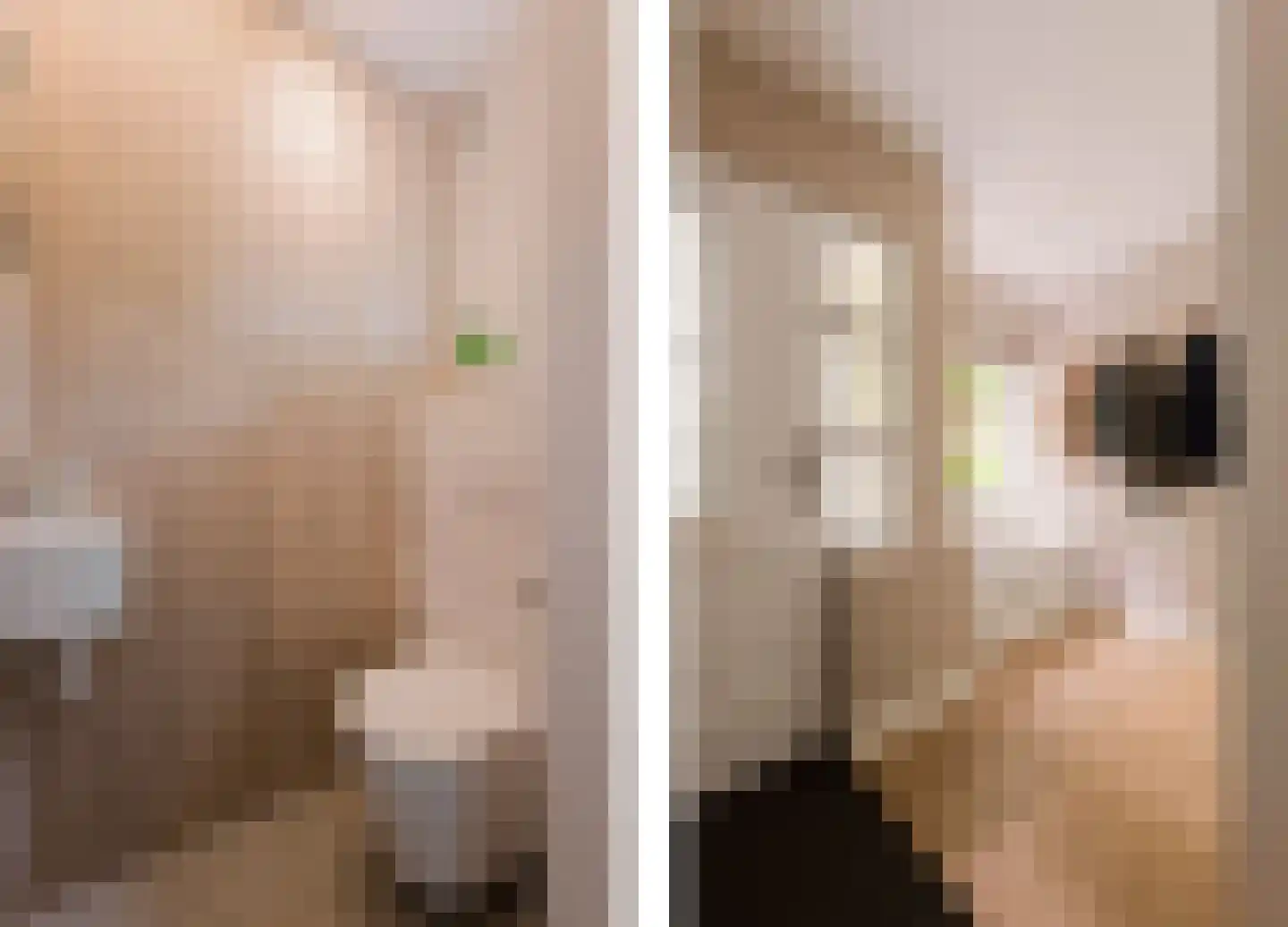 Trompstraat 2 Huizen thumbnail 33