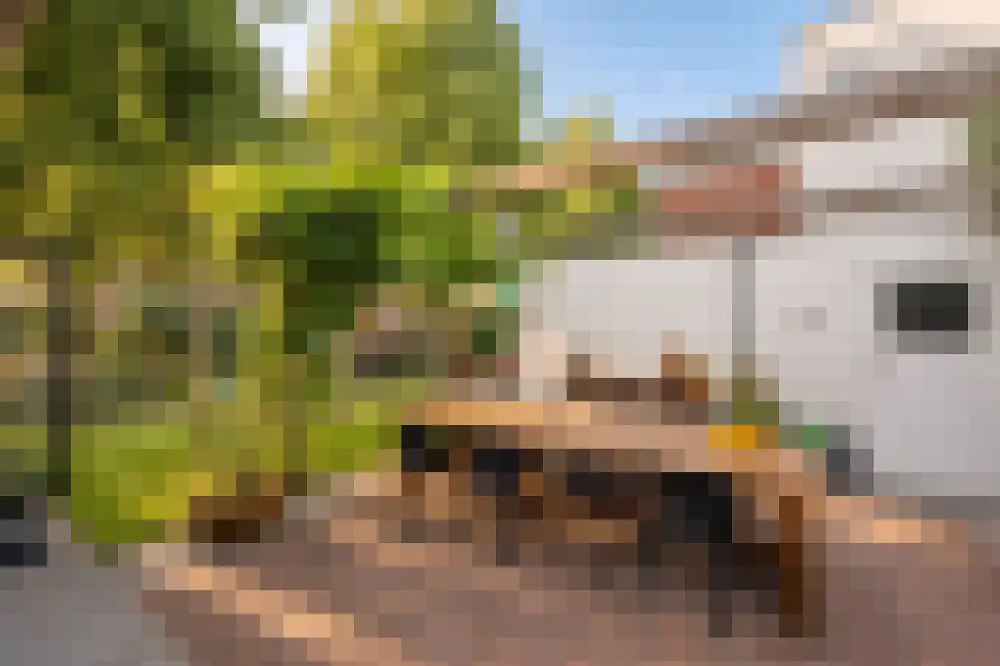 Trompstraat 2 Huizen thumbnail 34