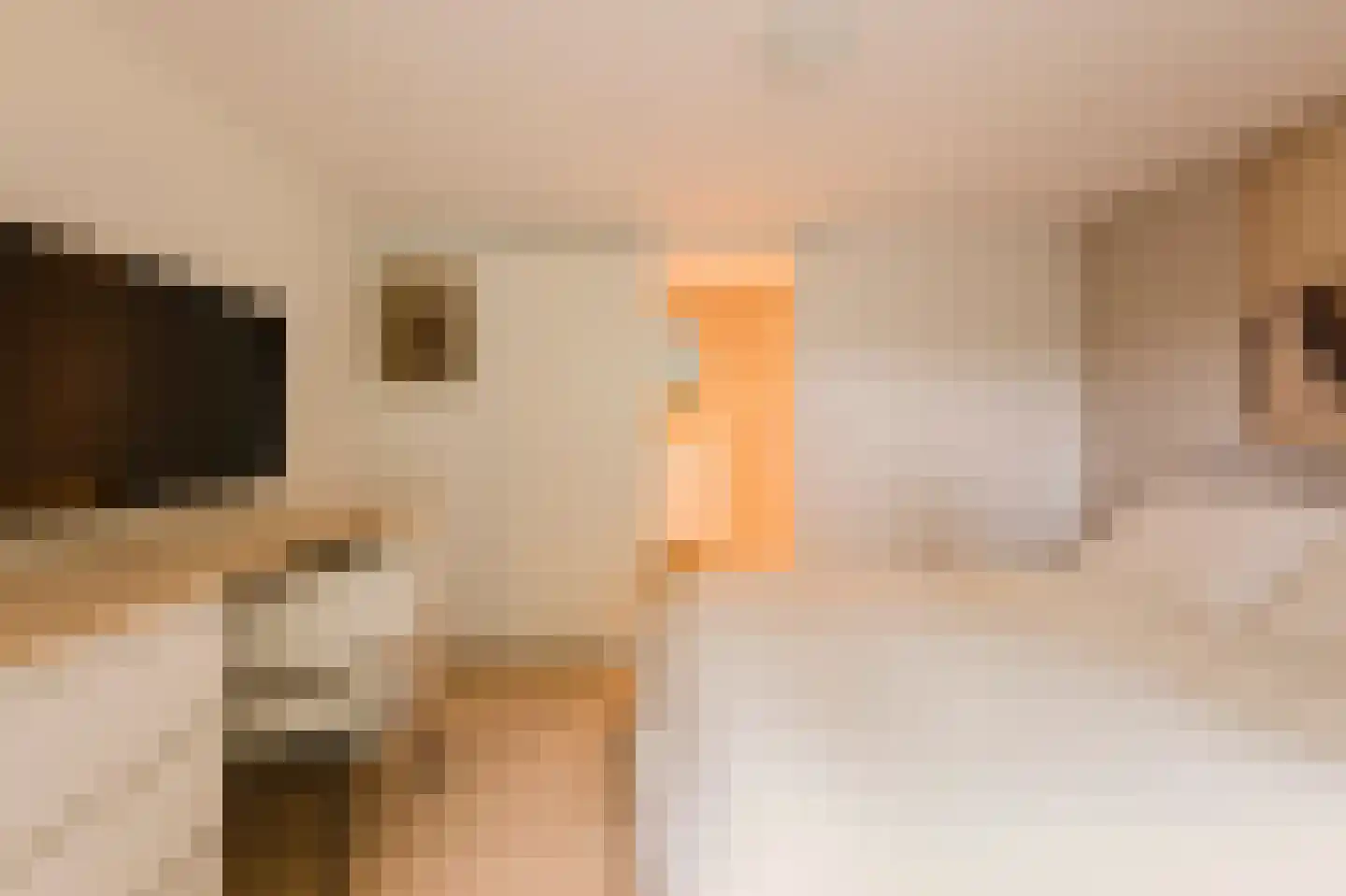 Trompstraat 2 Huizen thumbnail 35