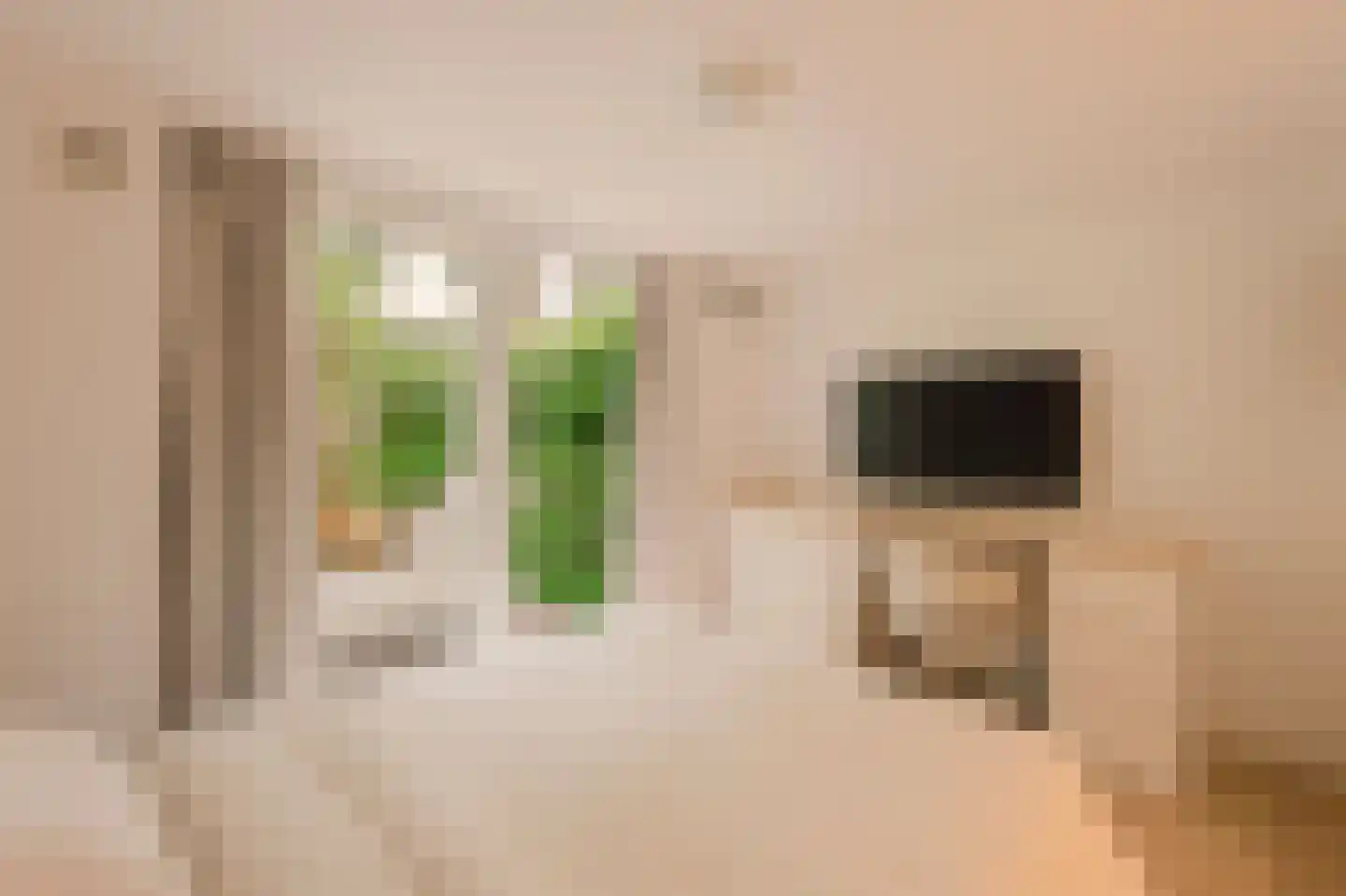 Trompstraat 2 Huizen thumbnail 36
