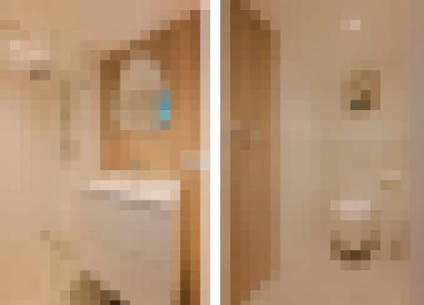 Trompstraat 2 Huizen thumbnail 37