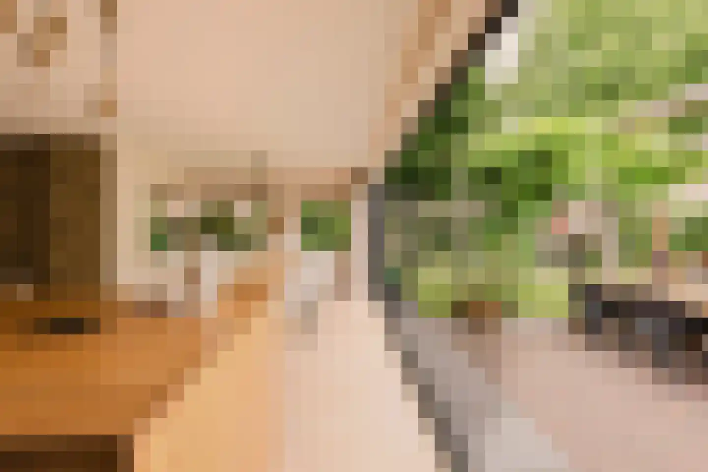 Trompstraat 2 Huizen thumbnail 8