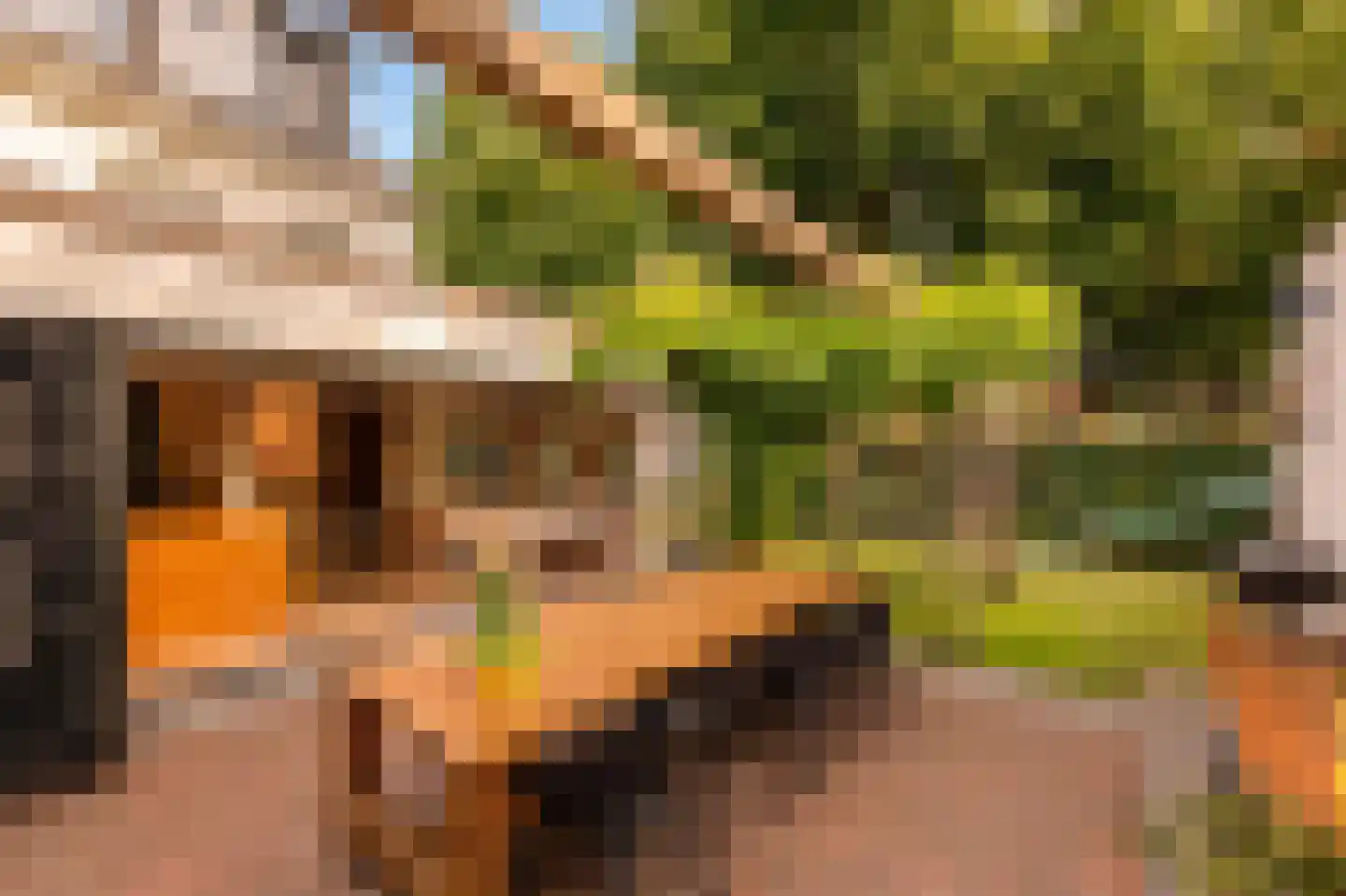 Trompstraat 2 Huizen thumbnail 9