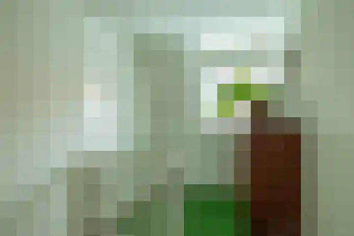 Trompstraat 2 Zwolle thumbnail 16
