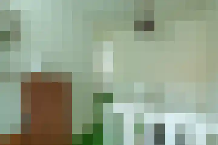 Trompstraat 2 Zwolle thumbnail 17