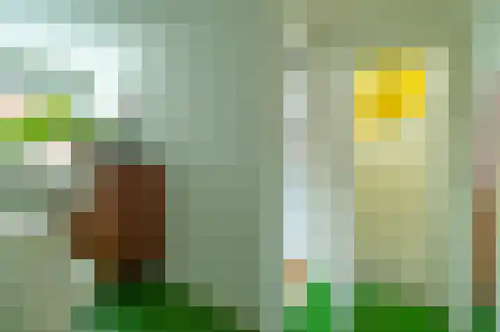 Trompstraat 2 Zwolle thumbnail 18