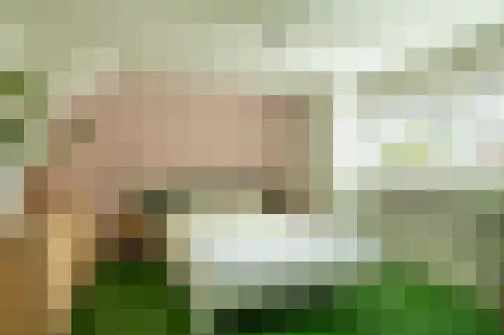 Trompstraat 2 Zwolle thumbnail 19