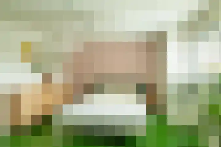 Trompstraat 2 Zwolle thumbnail 20