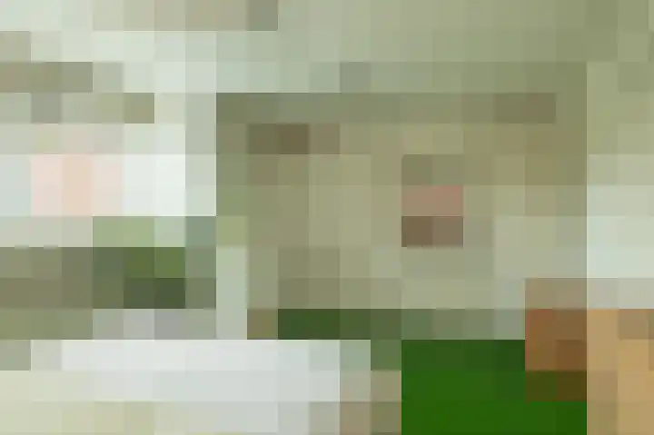 Trompstraat 2 Zwolle thumbnail 21