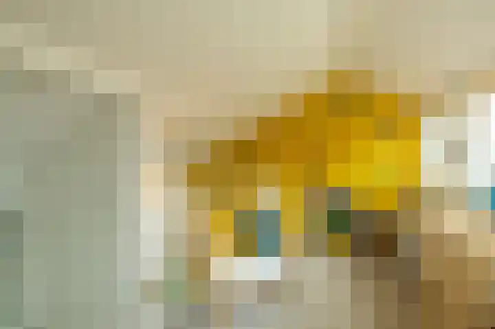Trompstraat 2 Zwolle thumbnail 30