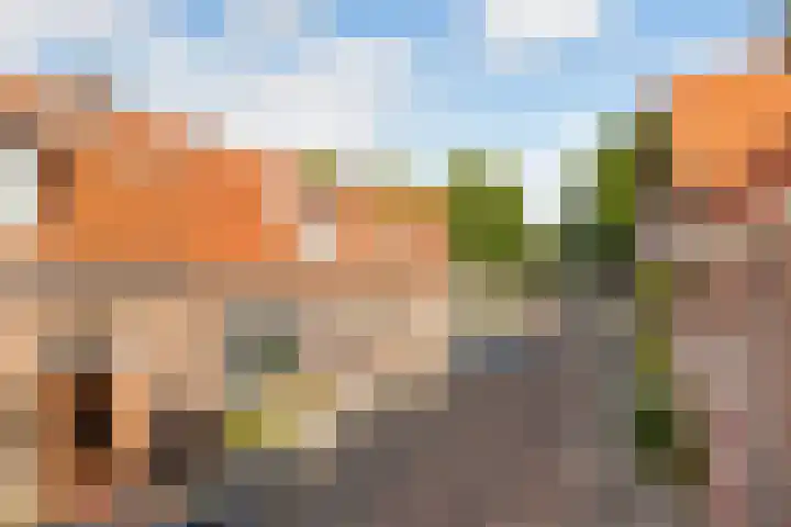 Trompstraat 2 Zwolle thumbnail 31