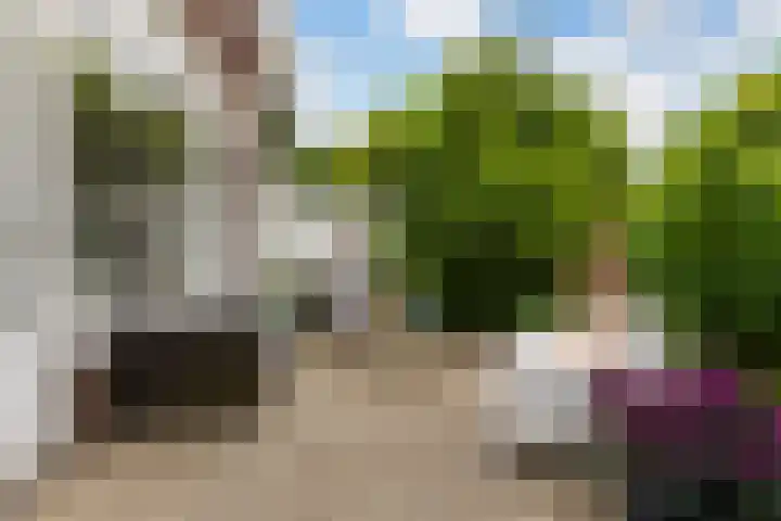 Trompstraat 2 Zwolle thumbnail 33