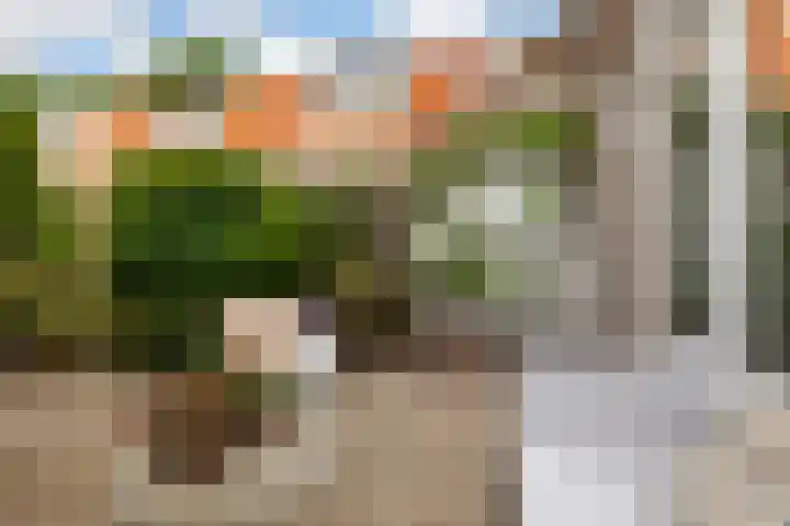 Trompstraat 2 Zwolle thumbnail 35