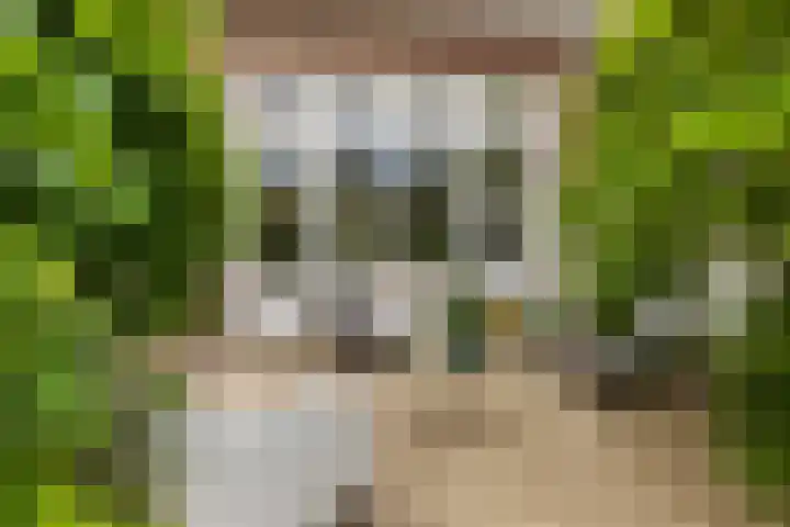 Trompstraat 2 Zwolle thumbnail 36