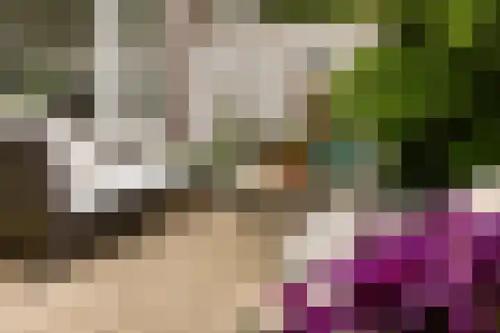 Trompstraat 2 Zwolle thumbnail 38