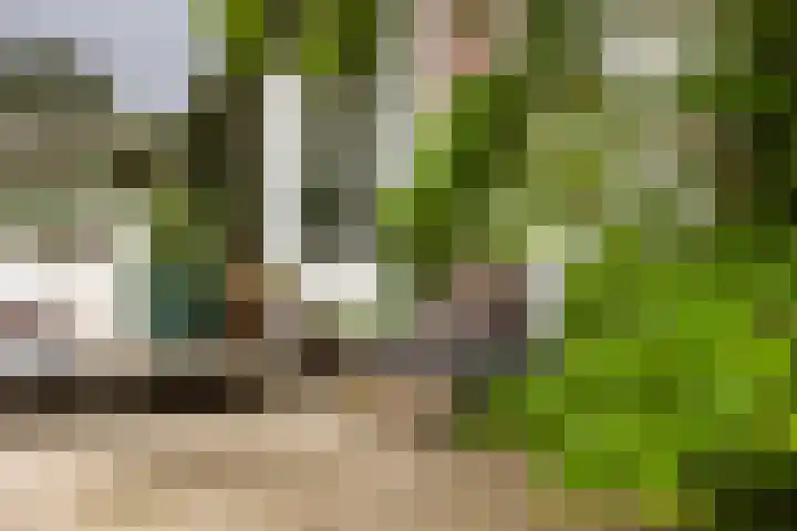 Trompstraat 2 Zwolle thumbnail 39