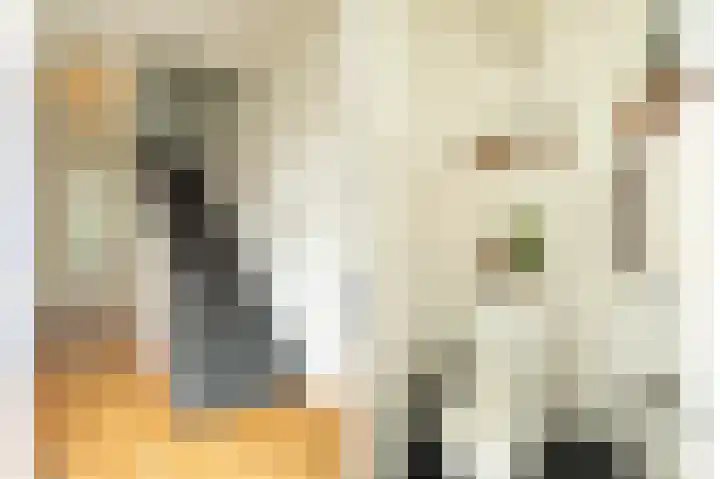 Trompstraat 2 Zwolle thumbnail 4