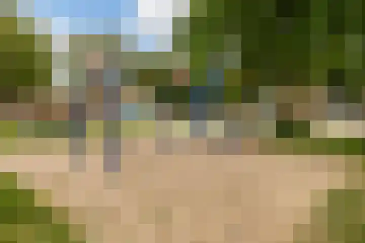Trompstraat 2 Zwolle thumbnail 43