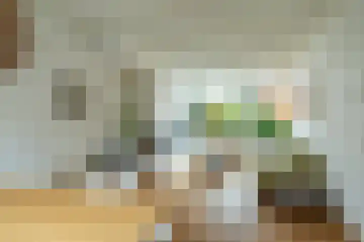 Trompstraat 2 Zwolle thumbnail 5