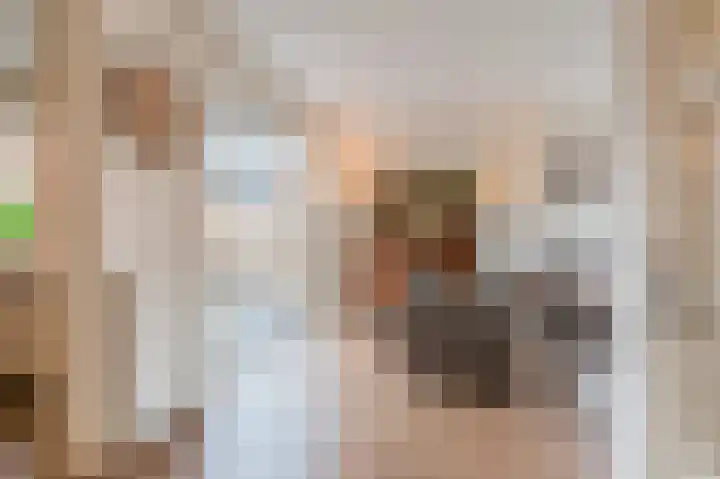 Trompstraat 20 Bedum thumbnail 10