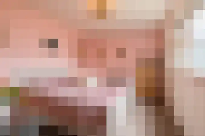 Trompstraat 20 Bedum thumbnail 19