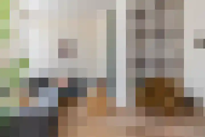 Trompstraat 200 Den Haag thumbnail 6