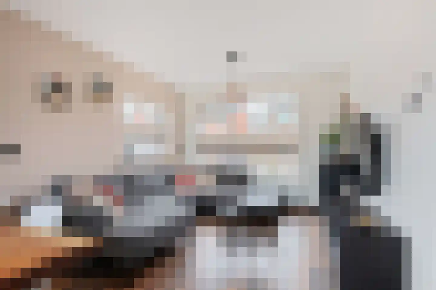 Trompstraat 21 Bedum thumbnail 13