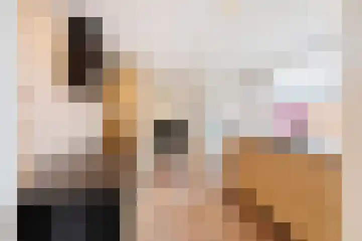 Trompstraat 21 Bedum thumbnail 17