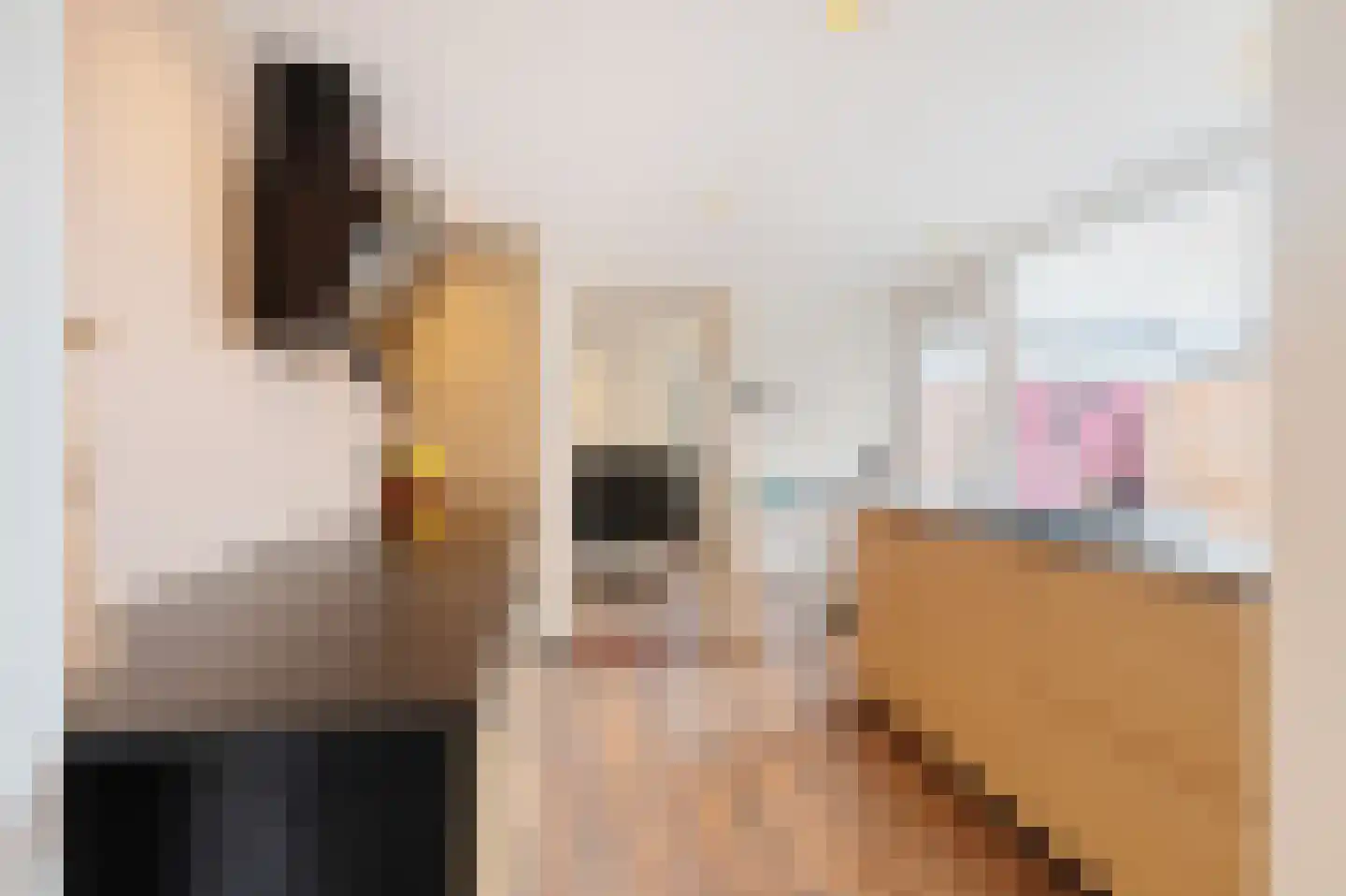 Trompstraat 21 Bedum thumbnail 17